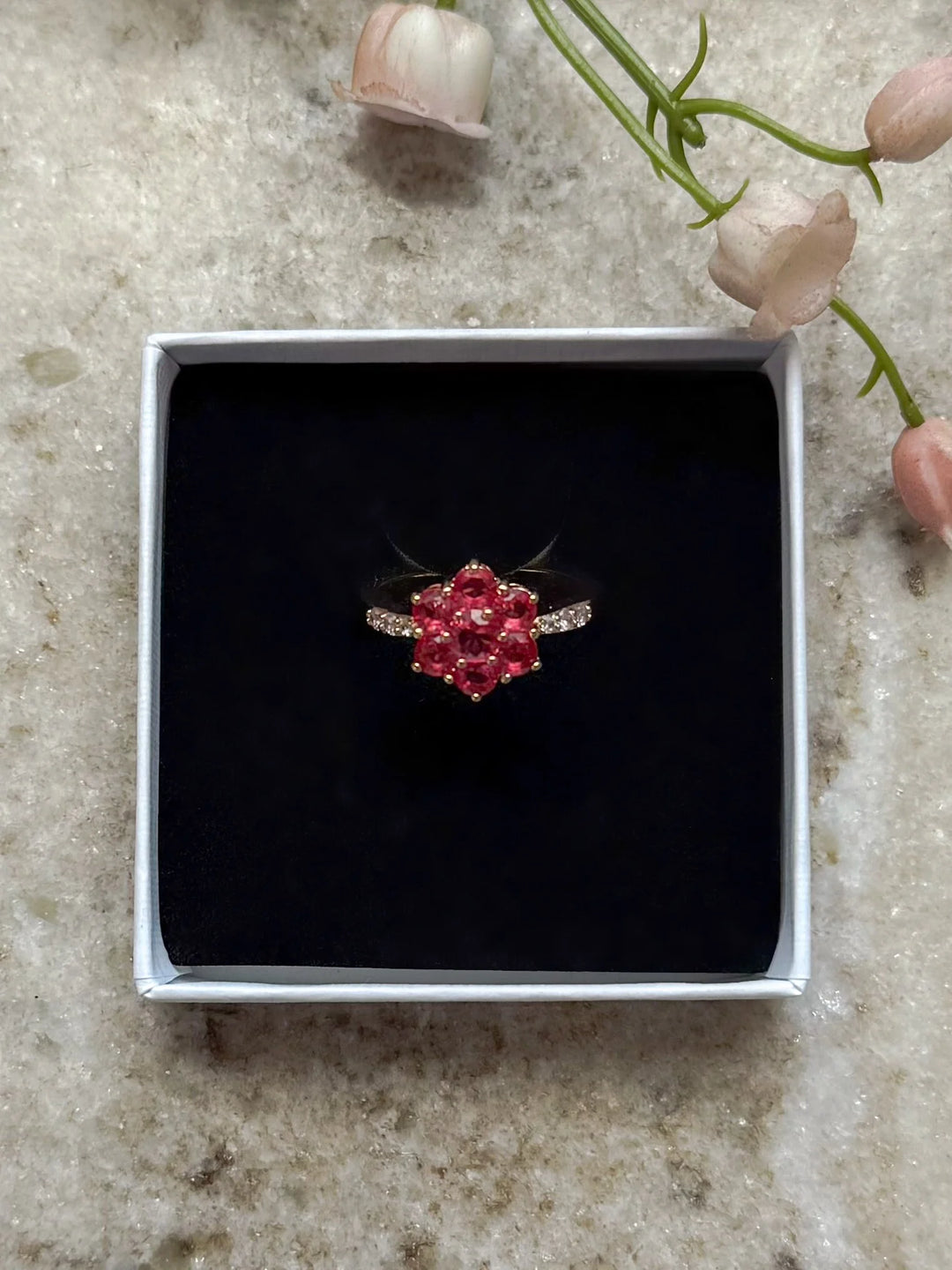 Fallon | Red