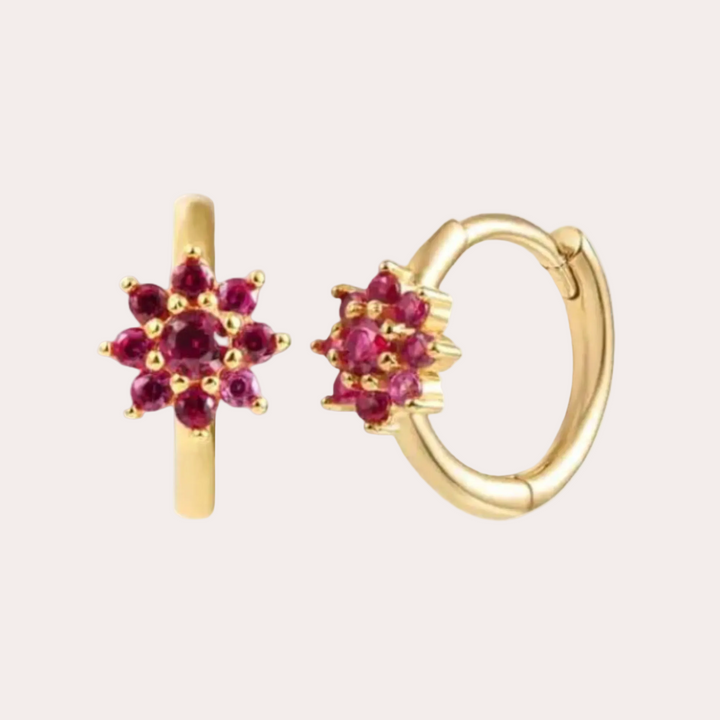 Nova | Roze